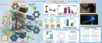 High-Sensitivity and Flexible Motion Sensing Enabled by Robust, Self-Healing Wood-Based Anisotropic Hydrogel Composites