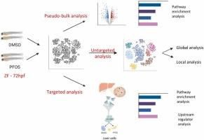 Single-cell RNA sequencing reveals tissue-specific transcriptomic changes induced by perfluorooctanesulfonic acid (PFOS) in larval zebrafish (Danio rerio)