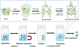 One pot preparation of magnetic benzylated cyclodextrin-based hyper-cross-linked polymer for phthalate esters extraction from tea beverages