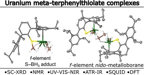 Uranium(III) and Uranium(IV) meta-Terphenylthiolate Complexes