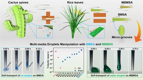 Ultrafast Self-Transportation of Multimedia Droplets with a Bioinspired Microspine Array