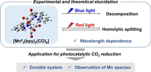 Development of a Highly Durable Photocatalytic CO2 Reduction Using a Mn-Complex Catalyst: Application of Selective Photosplitting of a Mn(0)–Mn(0) Bond