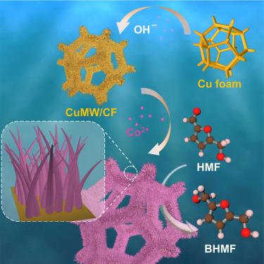 Corrosion-induced CoCu microwire arrays for efficient electroreduction of 5-hydroxymethylfurfural