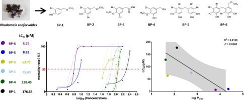 Organobromine compounds in aquatic environments: Embryotoxicity linked to lipophilicity and molecular structure