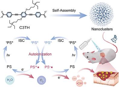 Zwitterionic Photosensitizer-Assembled Nanocluster Produces Efficient Photogenerated Radicals via Autoionization for Superior Antibacterial Photodynamic Therapy