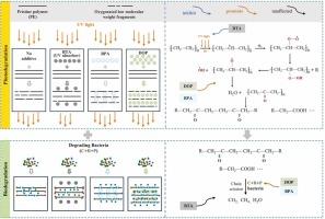 Plastic additives alter the influence of photodegradation on biodegradation of polyethylene/polypropylene polymers in natural rivers