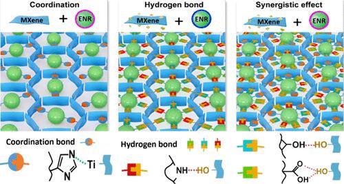 Revisiting the Interface Dynamics of MXene/Rubber Elastomers: Multiscale Mechanistic Insights into Collaborative Bonding for Robust Self-Healing Sensors