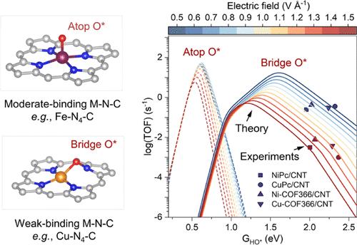 Why Do Weak-Binding M–N–C Single-Atom Catalysts Possess Anomalously High Oxygen Reduction Activity?