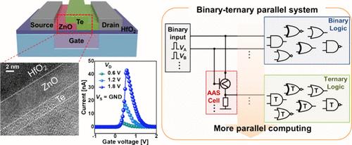 Applications of a ZnO–Te Antiambipolar Switch for Drastic Power and Area Scaling
