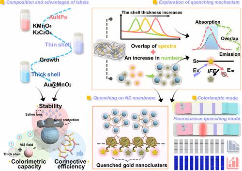 Bidirectional Drive Reverse-Phase Enhanced Fluorescence Lateral Flow Immunoassay with Spectral Overlap and Quantitative Balance for the Analysis of Deoxynivalenol