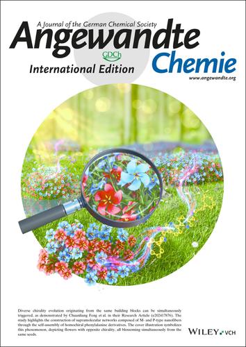 Inside Cover: Simultaneous Fabrication of P and M Helices in One-Component Chiral System by Methanol-Water Mediated Dual Assembly Pathway (Angew. Chem. Int. Ed. 12/2025)