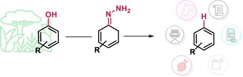 Accessing Arenes via the Hydrodeoxygenation of Phenolic Derivatives Enabled by Hydrazine