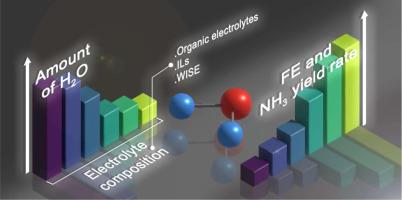Beyond catalyst design for the electrochemical nitrogen reduction reaction: The crucial role of water availability in the electrolyte composition