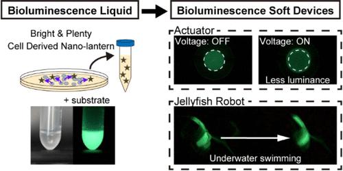 Electrically Driven, Bioluminescent Compliant Devices for Soft Robotics