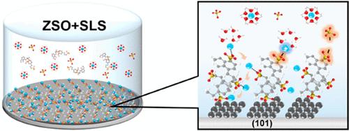 Green Polymer Derived Multifunctional Layer Achieving Oriented Diffusion and Controllable Deposition of Zn2+ for Ultra-Durable Zinc-Ion Hybrid Supercapacitors