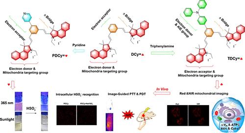 Structure–Activity Relationship of Hemicyanine Molecules: Mitochondrion-Targeting Hemicyanine Fluorescent Molecular Probes for HSO3– Recognition and Near-Infrared Image-Guided Photothermal/Photodynamic Synergetic Therapy