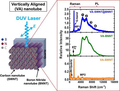 Quenching of Defect-Induced Photoluminescence in a Boron-Nitride and Carbon Hetero-nanotube