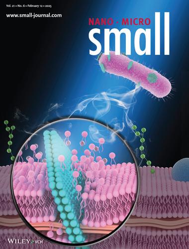 Advanced Palladium Nanosheet-Enhanced Phototherapy for Treating Wound Infection Caused by Multidrug-Resistant Bacteria (Small 6/2025)