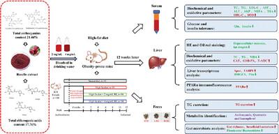 Roselle Extract Ameliorates Abnormal Glucolipid Metabolism and Gut Microbiota in Obese Mice Fed With High-Fat Diet