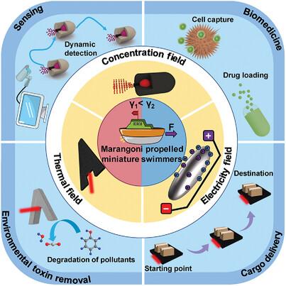 Marangoni Effect Enabling Autonomously Miniatured Swimmers: Mechanisms, Design Strategy, and Applications