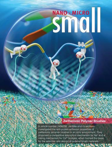 Atomistic Insights into the Ionic Response and Mechanism of Antifouling Zwitterionic Polymer Brushes (Small 6/2025)