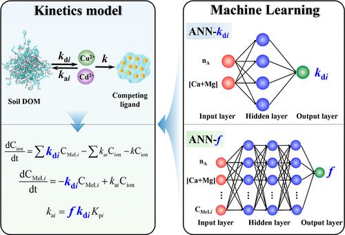 Predicting the Kinetics of Cu and Cd Release from Diverse Soil Dissolved Organic Matter: A Novel Hybrid Model Integrating Machine Learning with Mechanistic Kinetics Model