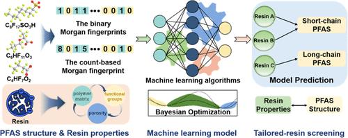 Data-Driven Insights into Resin Screening for Targeted Per- and Polyfluoroalkyl Substances Removal Using Machine Learning