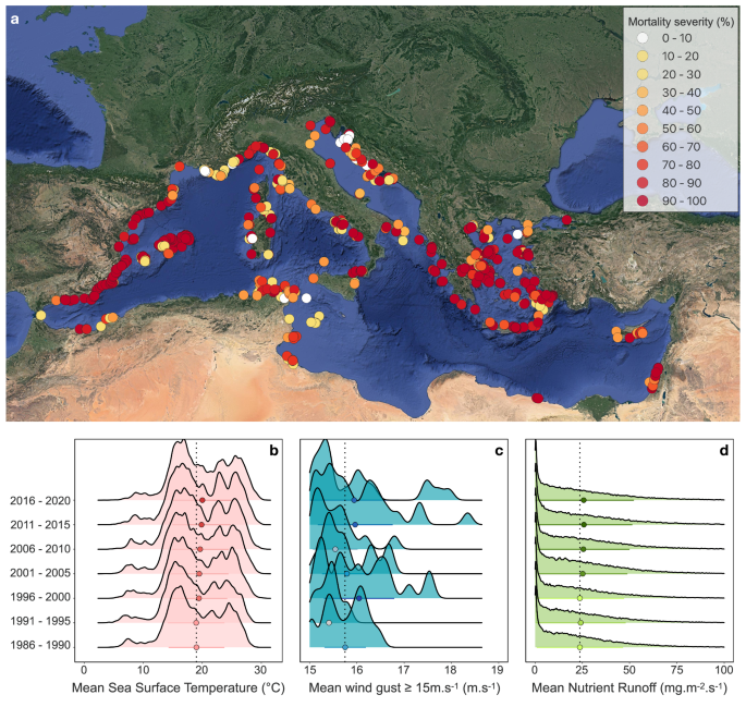 Vulnerability of benthic trait diversity across the Mediterranean Sea following mass mortality events