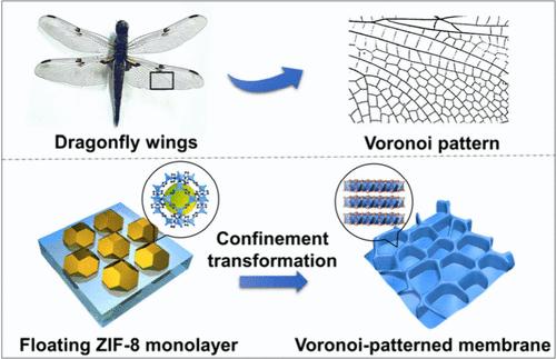Emergence of Voronoi-Patterned Cellular Membranes via Confinement Transformation of Self-Assembled Metal–Organic Frameworks