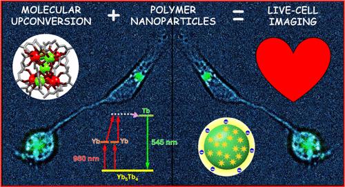Molecular Upconversion Nanoparticles for Live-Cell Imaging