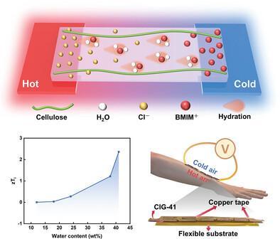 Enhancing the Thermoelectric Performance of Sustainable Cellulose-Based Ionogels Through Water Content Regulation