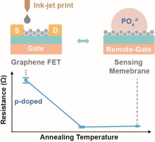 Fine Tuning of Electrical Characteristics of Inkjet Printed Graphene for Physical and Chemical Sensing.