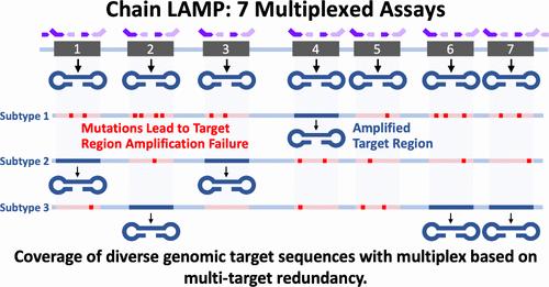 Development of a Highly Multiplexed RT-LAMP Assay for Coverage of Genetic Sequence Diversity