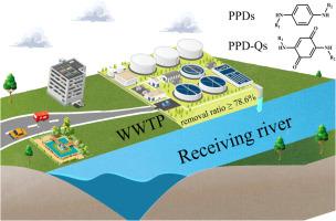 Occurrence, fate and chiral signatures of p-phenylenediamines and their quinones in wastewater treatment plants, China