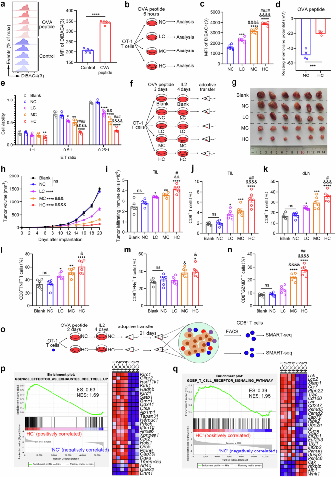 Charged substrate treatment enhances T cell mediated cancer immunotherapy