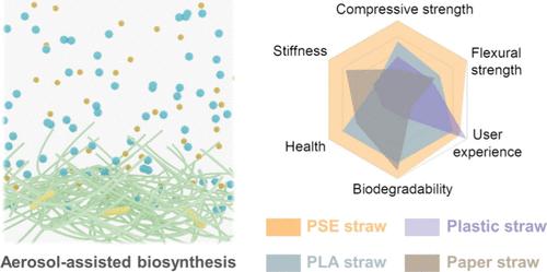 Growing Strong Polysaccharide-Derived Edible Straws with an Inherent Structural Binder via Biomanufacturing