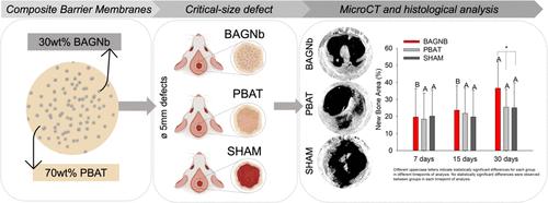 Bioactive Composite Membranes: Preclinical Analysis of PBAT/BAGNb Composition to Enhance the Quality of Guided Bone Regeneration.
