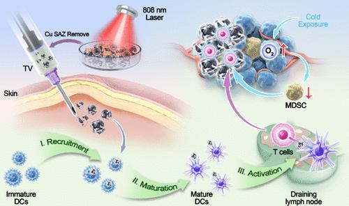 Cold Exposure Therapy Enhances Single-Atom Nanozyme-Mediated Cancer Vaccine Therapy