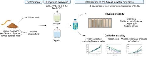 Physical and oxidative stability of 5 % fish oil-in-water emulsions stabilized with lesser mealworm (Alphitobius diaperinus larva) protein hydrolysates pretreated with ultrasound and pulsed electric fields