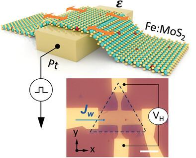 Magnetic Switching in Monolayer 2D Diluted Magnetic Semiconductors via Spin-to-Spin Conversion