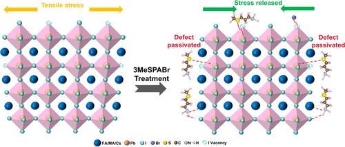 Defect Passivation and Stress Release Strategies for Inverted Perovskite Solar Cells Based on the Low-Pressure-Assisted Solution Process.