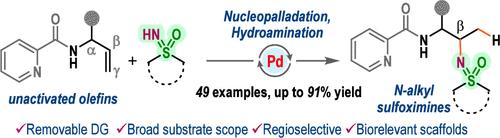 Palladium(II)-Catalyzed Regioselective Hydroamination of Allylamines to <i>N</i>-Alkyl Sulfoximines.