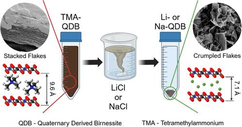 Colloidal Stability, Sedimentation, and Aggregation of Crystalline Two-Dimensional Crumpled Birnessite Flakes, Their Dye Adsorption and Immune Cell Response.