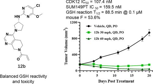 Design, Synthesis, and Biological Evaluation of Novel Orally Available Covalent CDK12/13 Dual Inhibitors for the Treatment of Tumors.