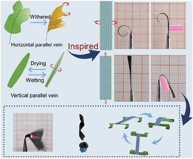 Leaf Vein-Inspired Programmable Superstructure Liquid Metal Photothermal Actuator for Soft Robots