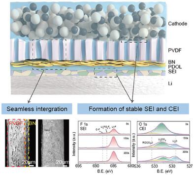 Heterogeneous Engineered Solid Electrolyte for Seamless and Stable Integration of Anode and Cathode