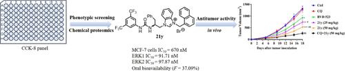 Discovery of Novel Aromatic Urea-Imidazole Salt Derivatives for Cancer Therapy via Targeting ERK1/2.