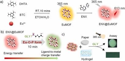 Enoxacin-embedded EuMOF-based ratio fluorescent sensing platform integrated with paper-based sensor and skin-attachable hydrogel for glyphosate detection in foods