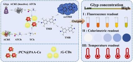 A “three-in-one” detection platform based on cerium-coated metal-organic framework for multimodal glyphosate detection