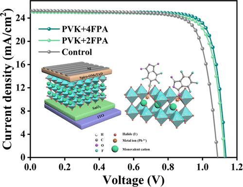 Performance Optimization of Perovskite Solar Cells via Fluorinated Carbonyl Additives